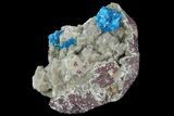 Vibrant Blue Cavansite Clusters on Stilbite - India #67800-2